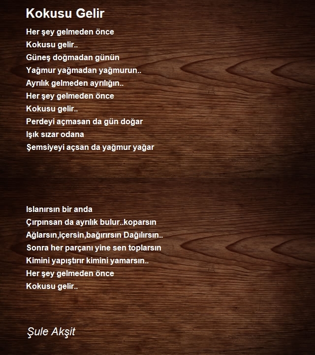 Şule Akşit