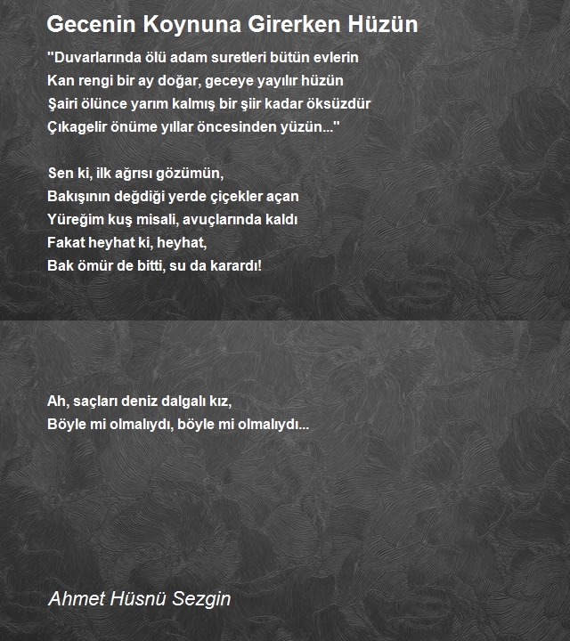 Ahmet Hüsnü Sezgin