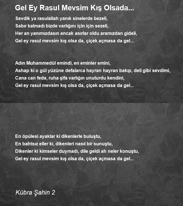 Kübra Şahin 2