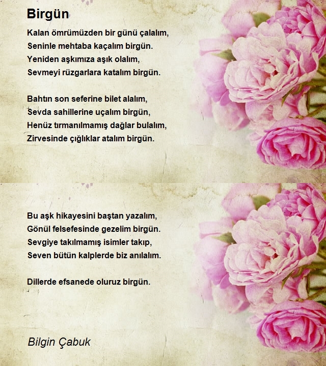 Bilgin Çabuk