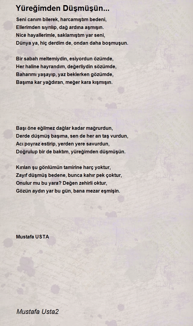 Mustafa Usta2