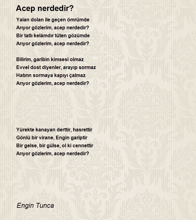 Engin Tunca