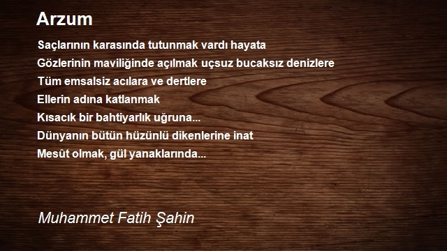 Muhammet Fatih Şahin