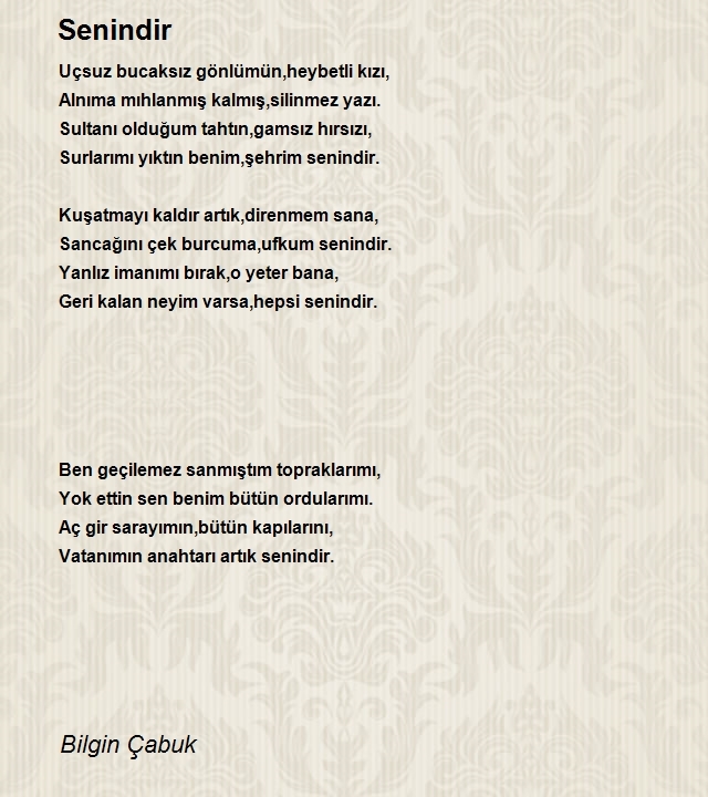 Bilgin Çabuk