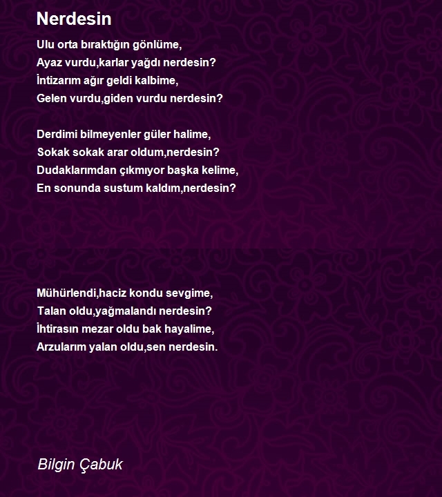 Bilgin Çabuk