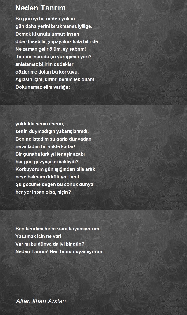 Altan İlhan Arslan