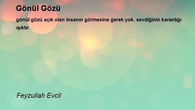 Feyzullah Evcil