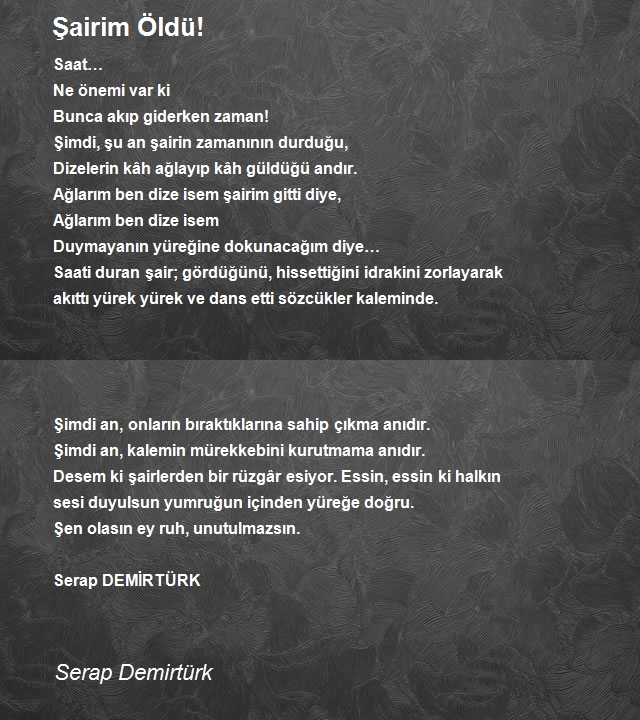 Serap Demirtürk