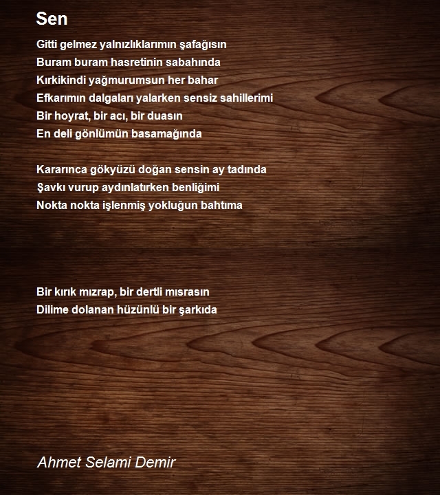 Ahmet Selami Demir