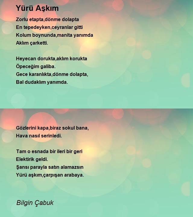 Bilgin Çabuk