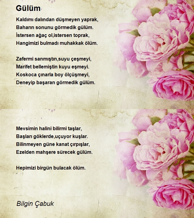 Bilgin Çabuk