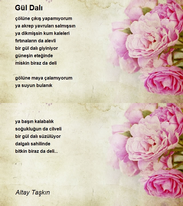 Altay Taşkın