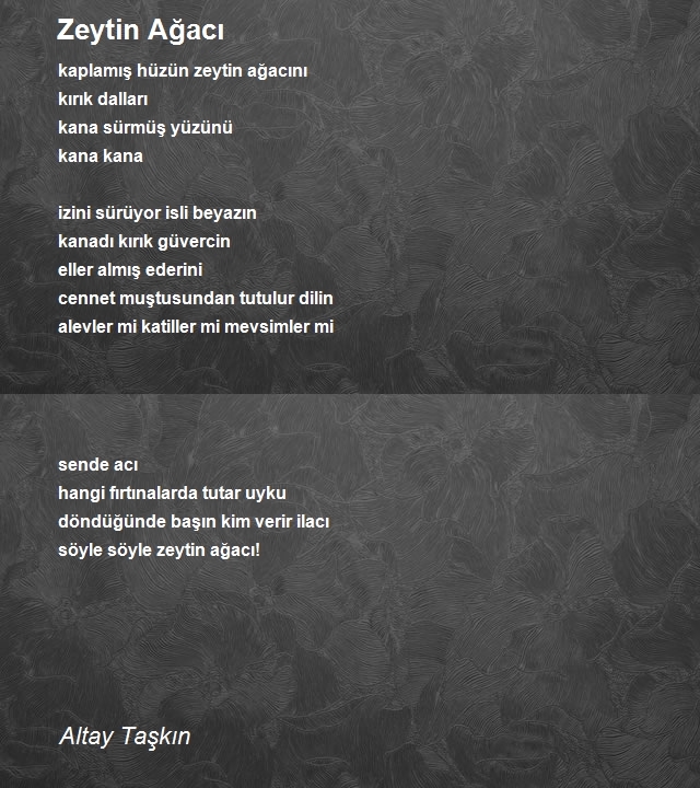 Altay Taşkın