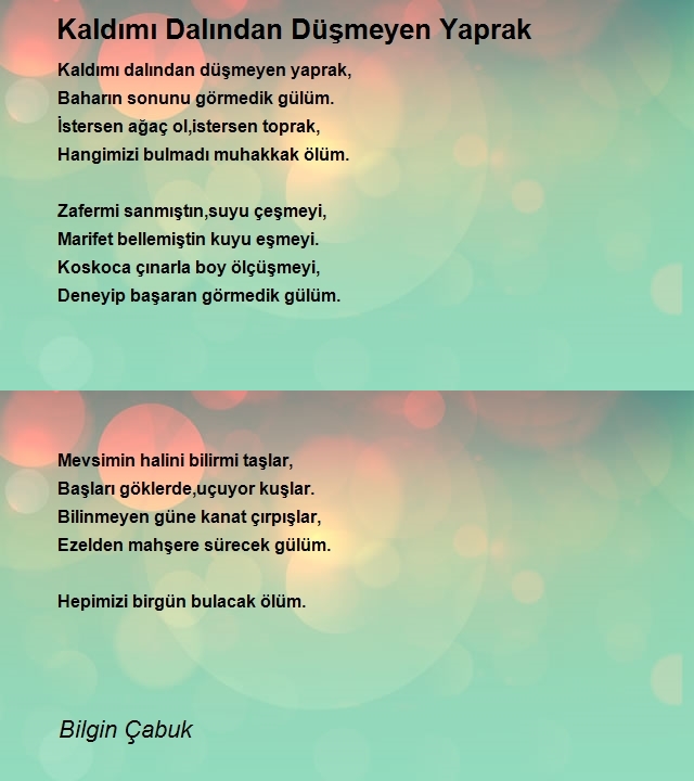 Bilgin Çabuk