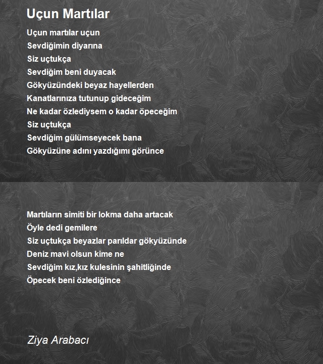 Ziya Arabacı