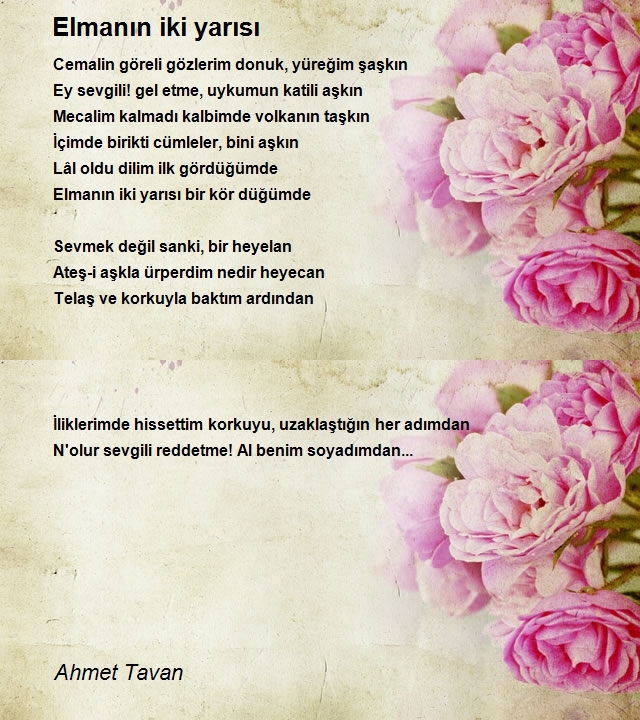 Ahmet Tavan