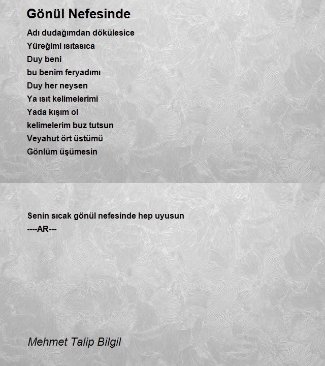 Mehmet Talip Bilgil