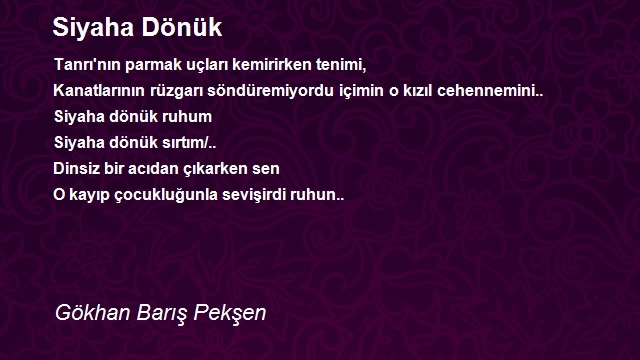 Gökhan Barış Pekşen