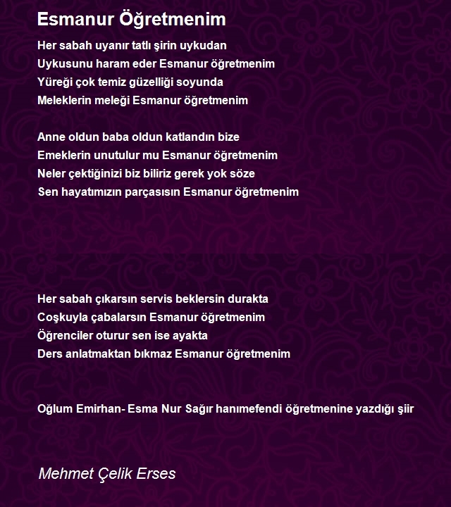 Mehmet Çelik Erses