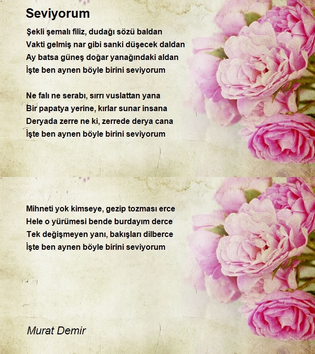 Murat Demir