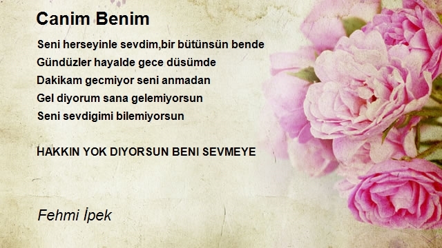 Fehmi İpek