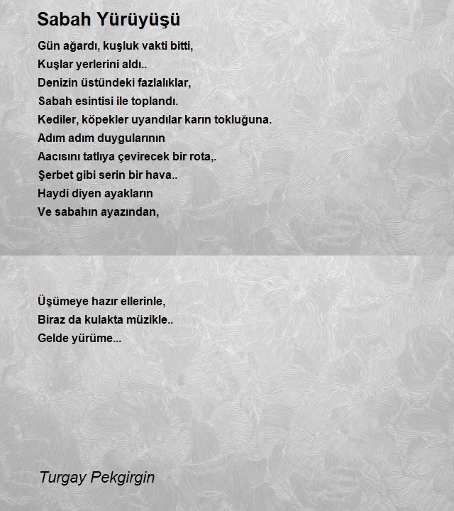 Turgay Pekgirgin