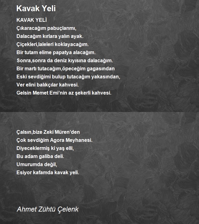 Ahmet Zühtü Çelenk