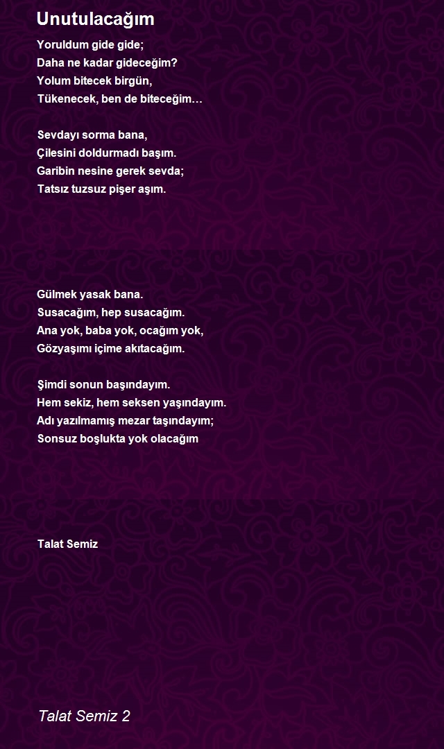 Talat Semiz 2