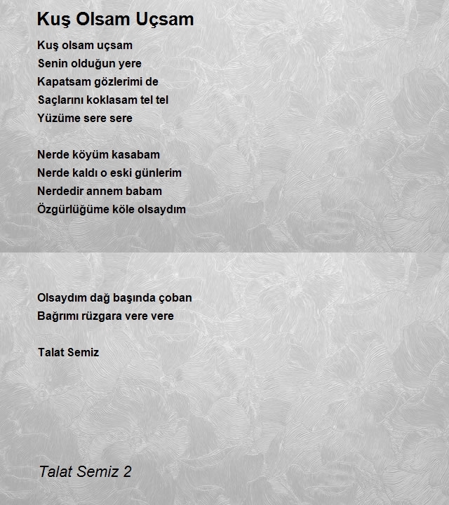 Talat Semiz 2