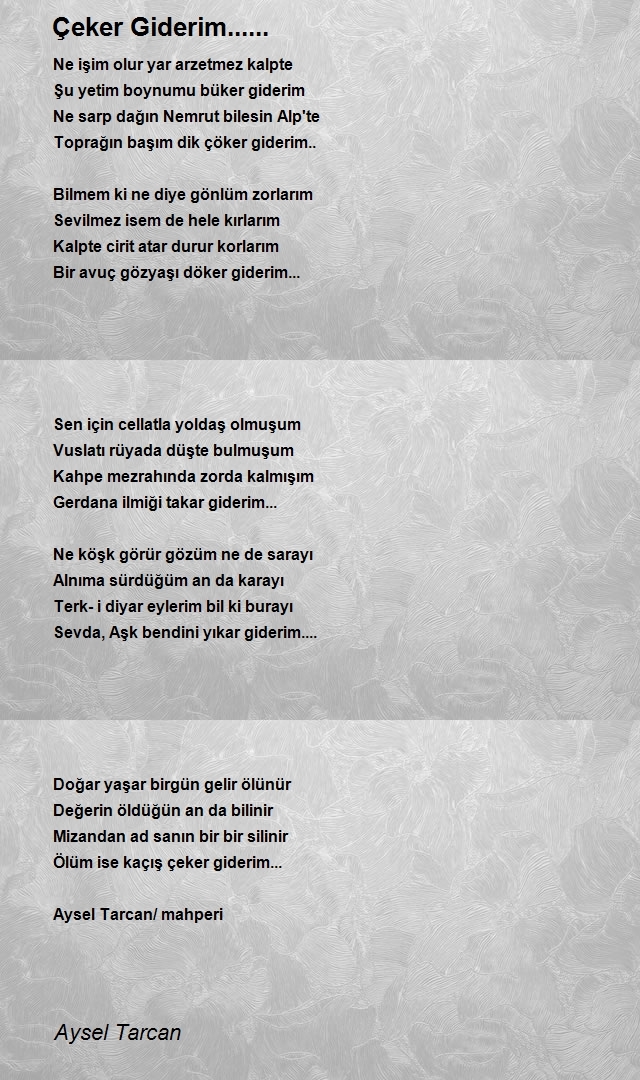 Aysel Tarcan