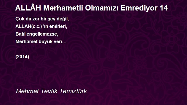 Mehmet Tevfik Temiztürk