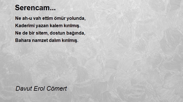 Davut Erol Cömert