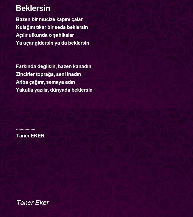 Taner Eker