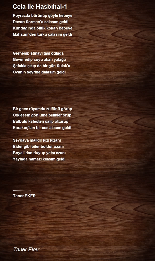 Taner Eker