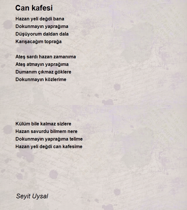 Seyit Uysal