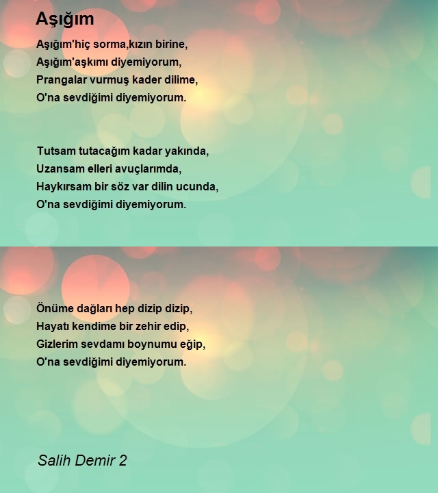 Salih Demir 2