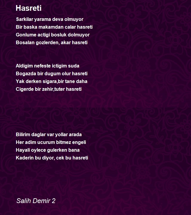 Salih Demir 2