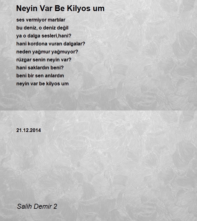 Salih Demir 2