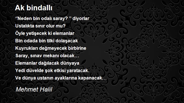 Mehmet Halil