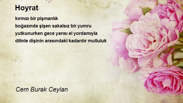 Cem Burak Ceylan