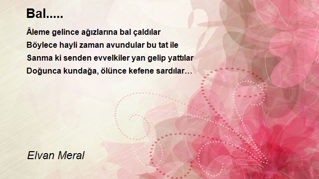 Elvan Meral