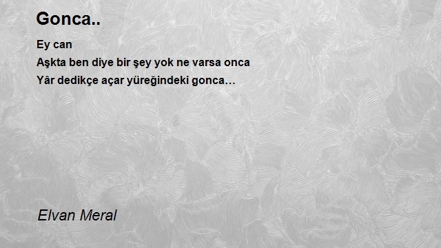 Elvan Meral