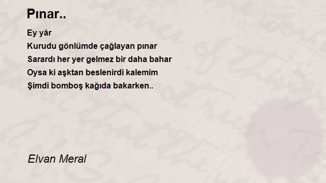 Elvan Meral