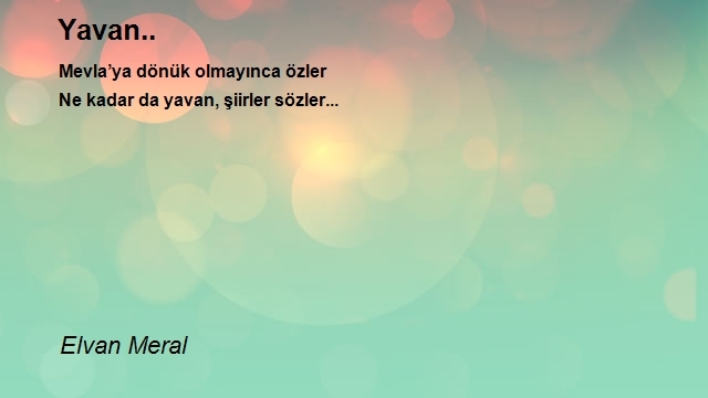 Elvan Meral