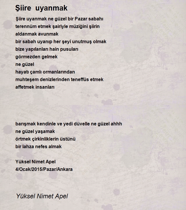 Yüksel Nimet Apel