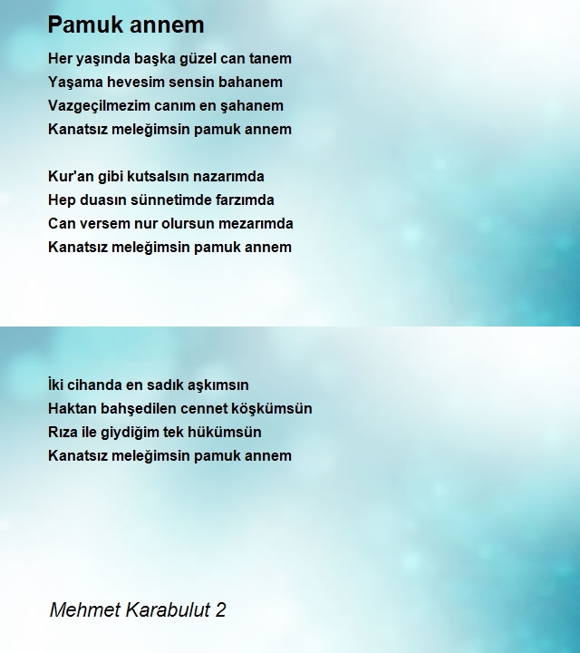 Mehmet Karabulut 2