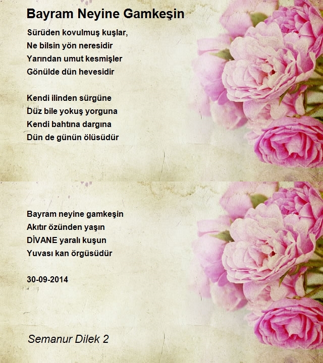 Semanur Dilek 2