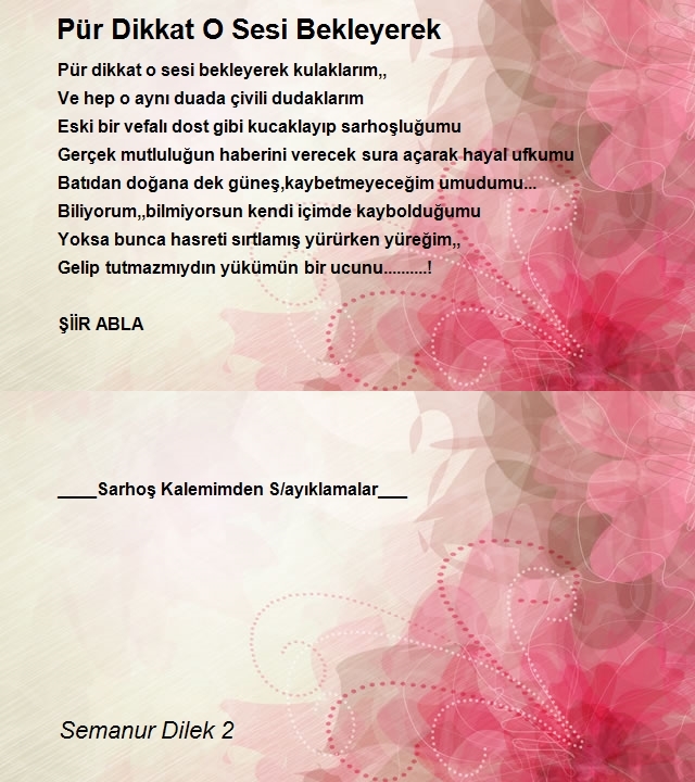 Semanur Dilek 2