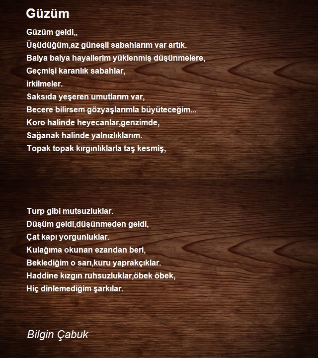 Bilgin Çabuk