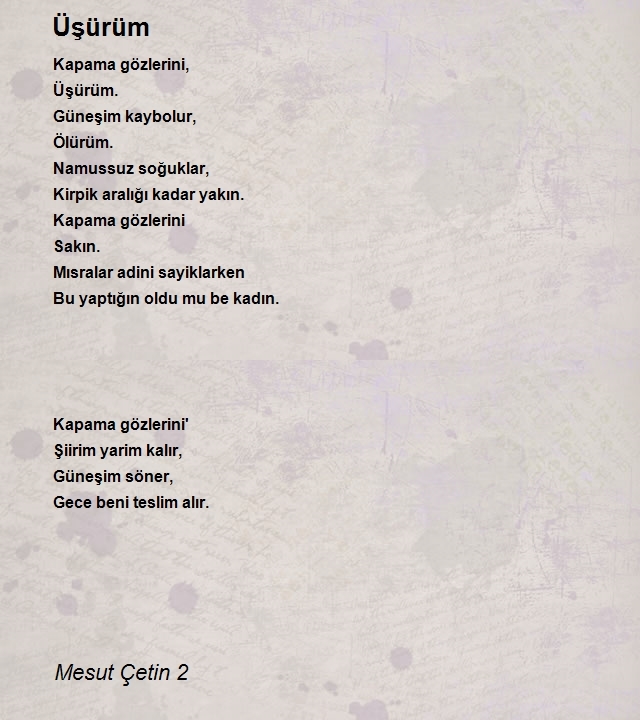 Mesut Çetin 2